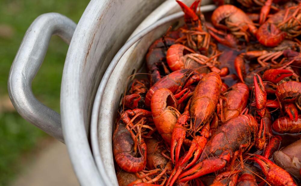 Live Louisiana Crawfish Brookshire Brothers